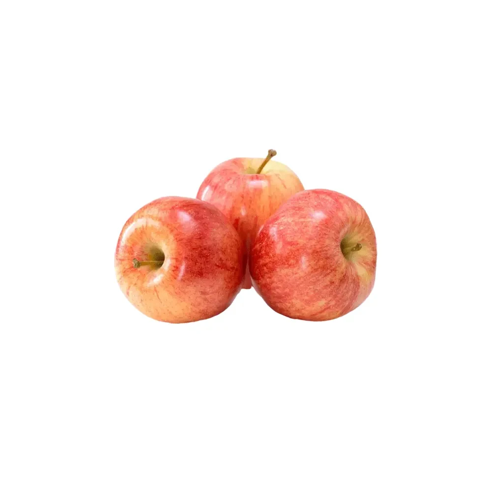 Fresh Gala Apple